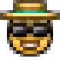 tourist emote