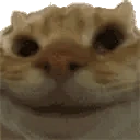 YesYes emoji