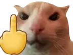 catFU emote