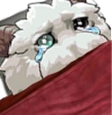 PoroBed emote