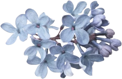 blueflowers emote
