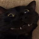 CE_Smile emote