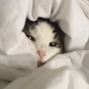 CE_AwakeButAtWhatCost2 emote