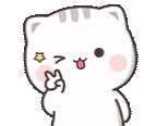 catWink animated emote