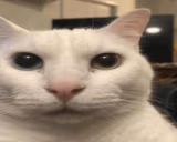 ElCuando emote