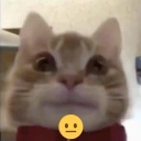 aha7 emoji