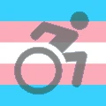 transWheelchair emote