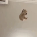 falling emoji