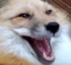 ekk static emote