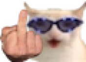 catFLIPPED emote