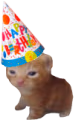 birthdayRobert emote