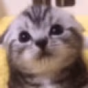 enough emote