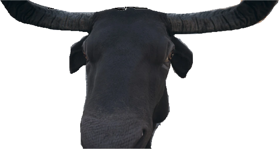 lehma emote
