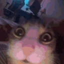 ouh emote
