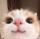3 emote