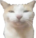 Serious emote