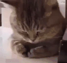Sad emote
