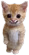 haha emote