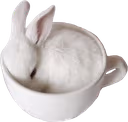 bun_cup emote