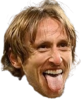 lukamodric_football emote