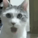 PogU emote