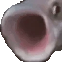 FishPop emote