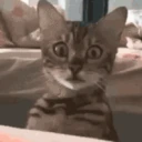 CE_Gone emote