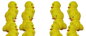 duckasScatter emote