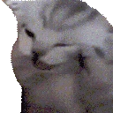 VOICES emote