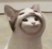 pop_cat_inside_the_pop_cat emote
