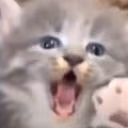 CE_SCREAMMMMMM3 emote