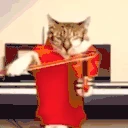 violinCat emote