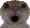 0 emote