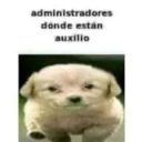 administradoresAuxilio static emote