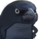 CrowDemand emote