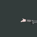 echidina_fingerguns emote