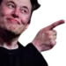 elonpoint emote
