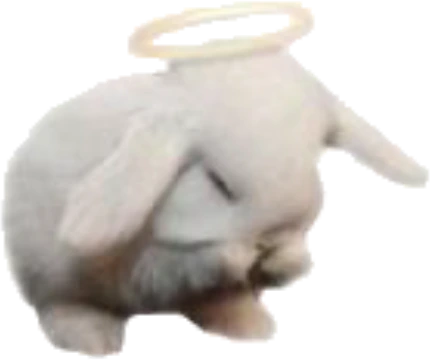 angel_bunny emote