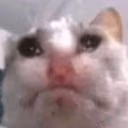 CE_UglyCry2 emote