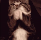 PLEASE emote