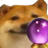 doge_crystalball emote