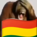 Bolivia emote