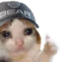 BearCat emoji