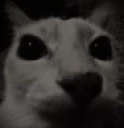 LaCaraDespair emote