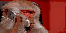 alo emote