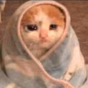 CE_CozySadBlanket2 emote