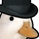 DuckHowdy emote
