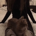 happyLegs emote