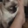 rainenomnom emote