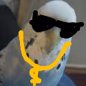 Swagggg_Birb emote